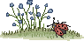 lbugcl2f.gif lbugcl2f.gif