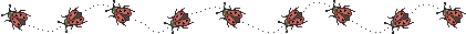 lbugln2c.gif lbugln2c.gif